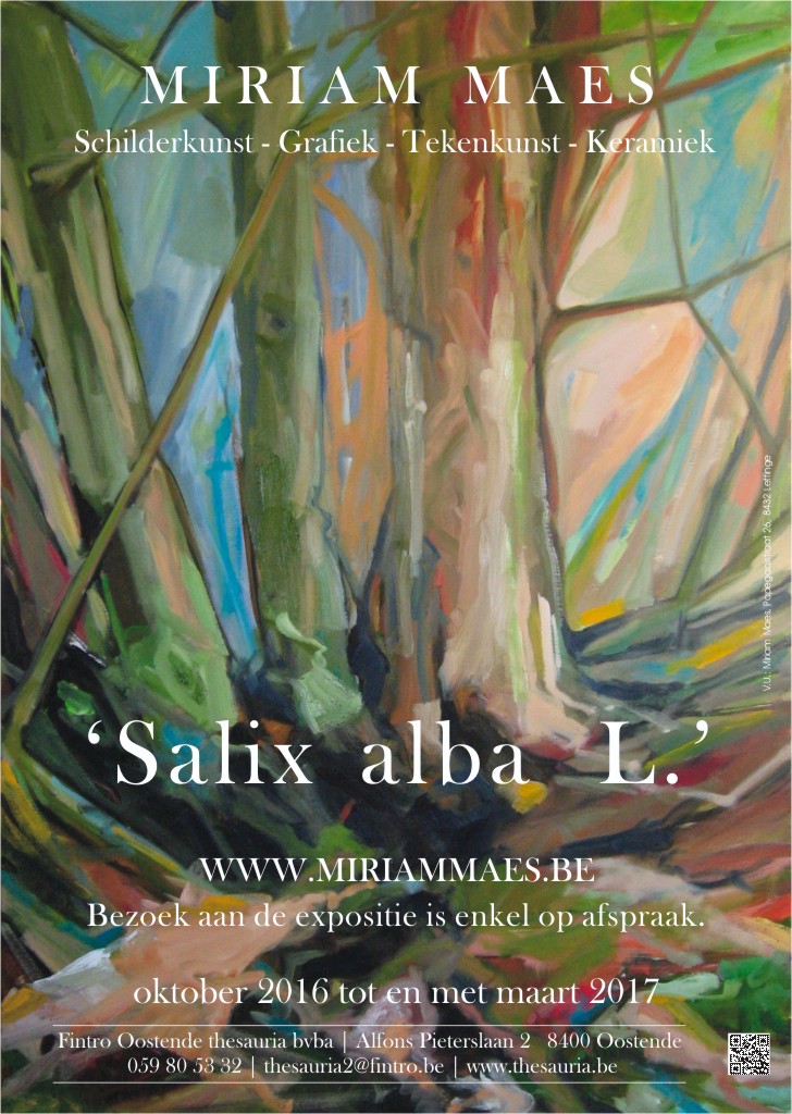 Exhibition 
Miriam Maes | Salix alba L. | 10/2016 - 03/2017