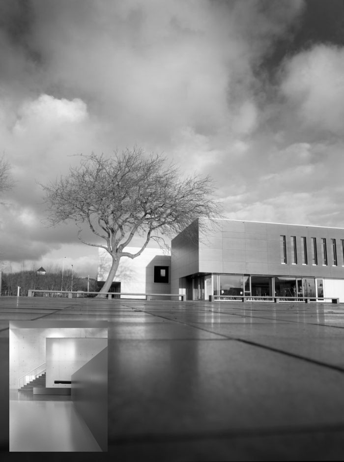 Tentoonstelling Miriam Maes | Nieuw thema met nieuw werken | in MEC Staf Versluys te Bredene